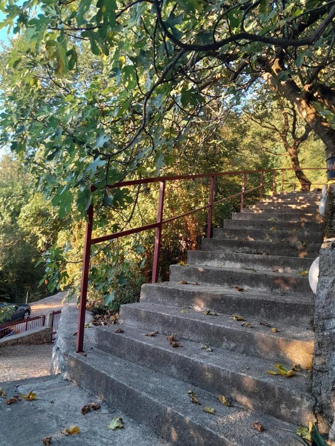 Apartmani Mia Rada Budva Buitenkant foto